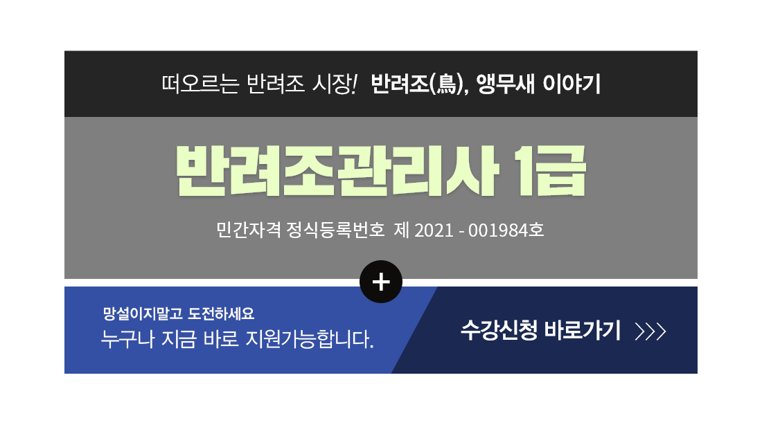 �ڰ��� Ÿ��Ʋ�̹���